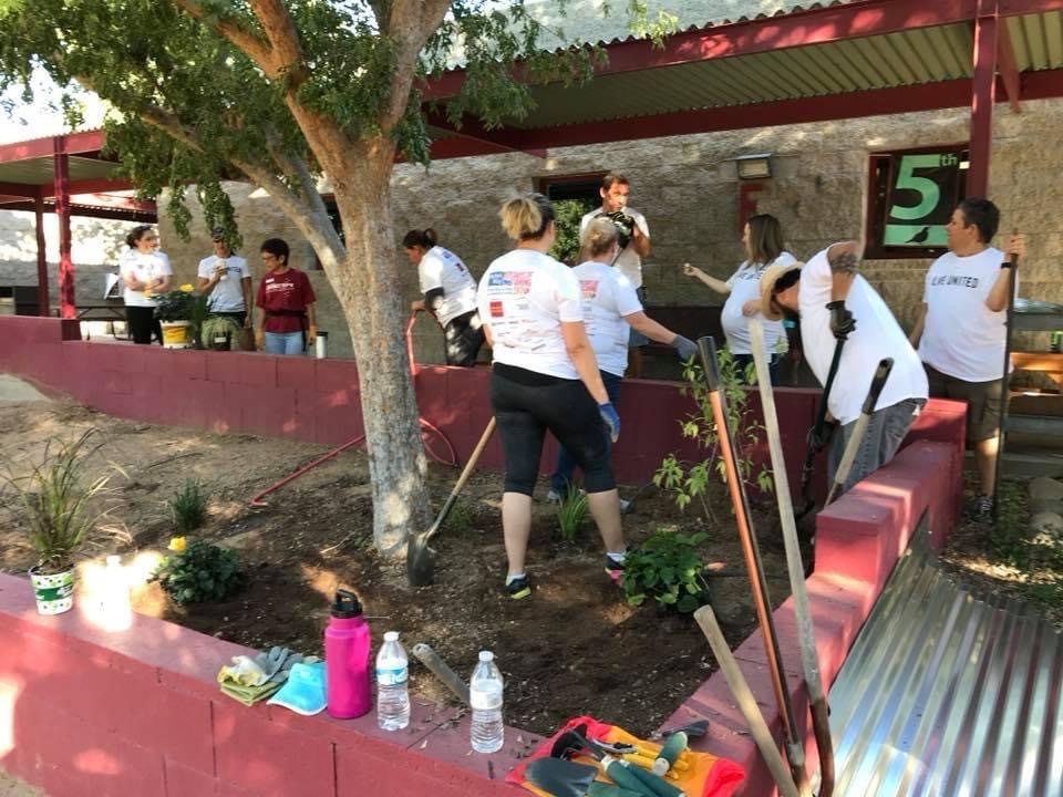 Volunteers Planting